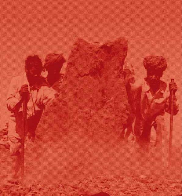 SDF Brochure Cover Image